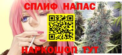 гашик Нарткала