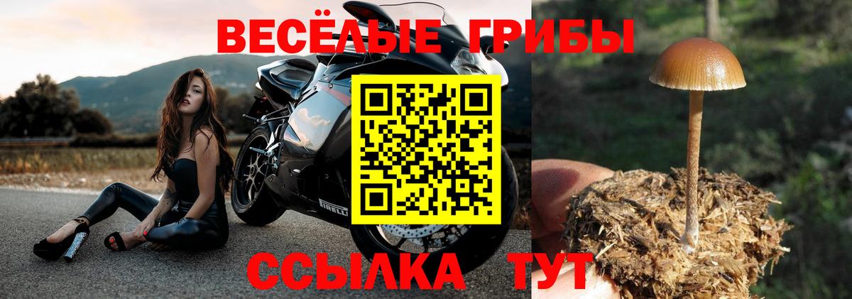 Татарск  Галлюциногенные грибы мицелий  закладка  Галлюциногенные грибы мухоморы  Вход с VPN 