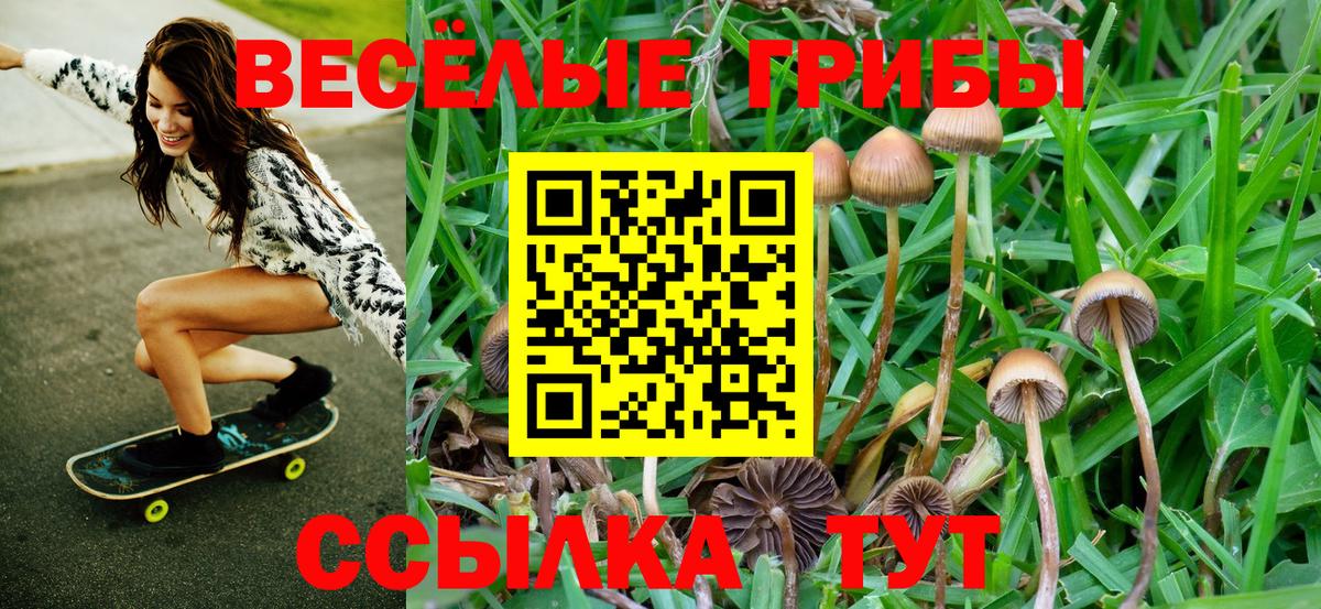 Псилоцибиновые грибы GOLDEN TEACHER Татарск